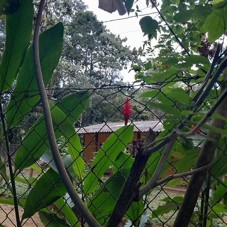 Sitio Das Bromelias Cachoeira Do Tombador 우바투바 외부 사진