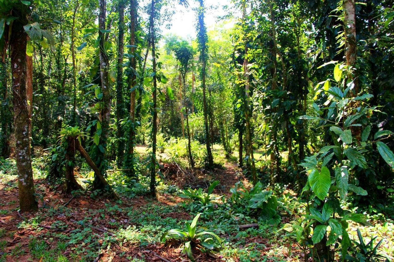 Sitio Das Bromelias Cachoeira Do Tombador 우바투바 외부 사진
