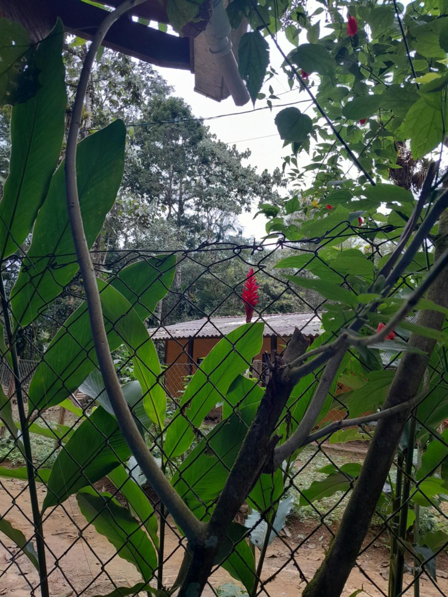 Sitio Das Bromelias Cachoeira Do Tombador 우바투바 외부 사진
