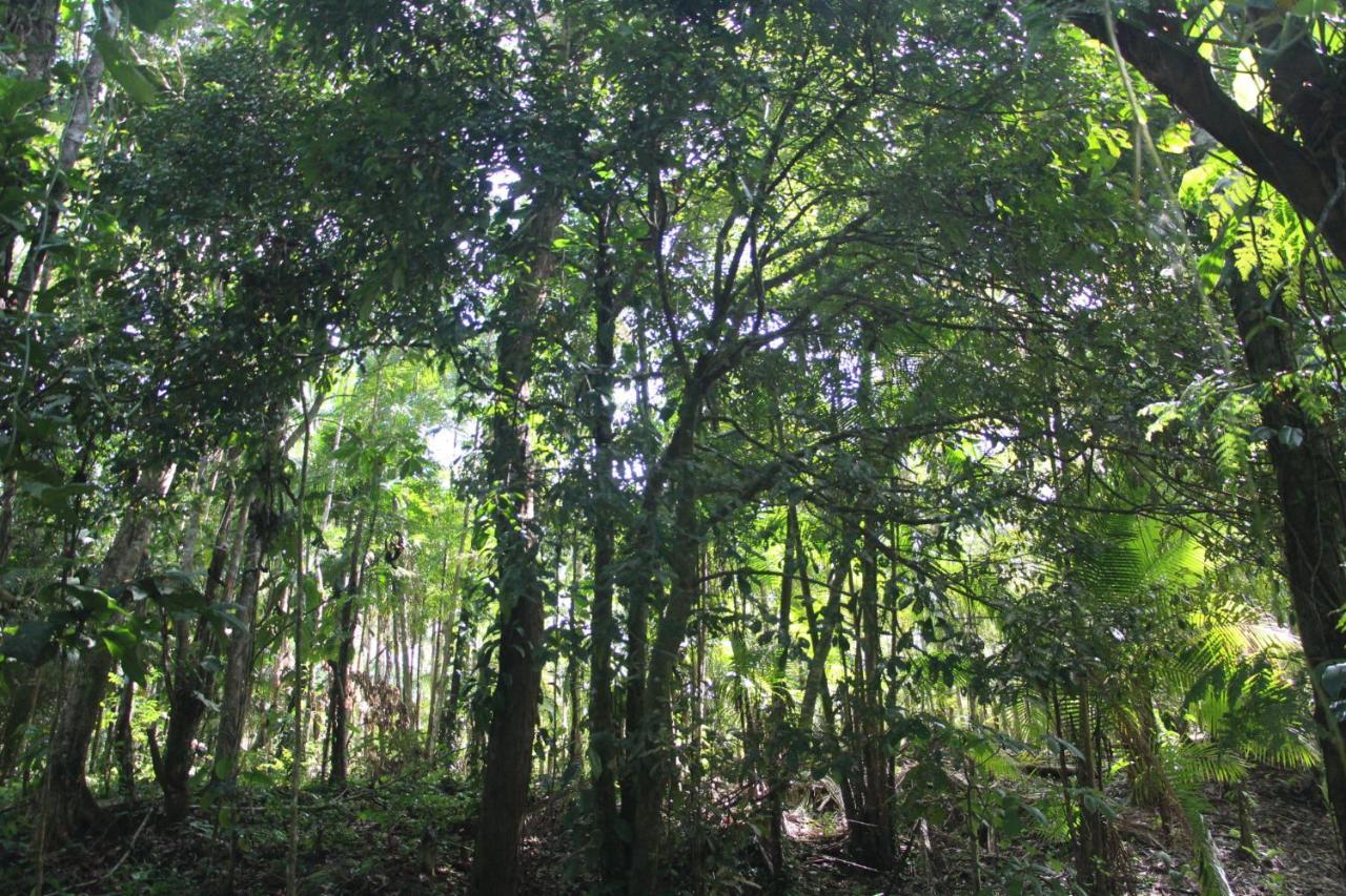 Sitio Das Bromelias Cachoeira Do Tombador 우바투바 외부 사진
